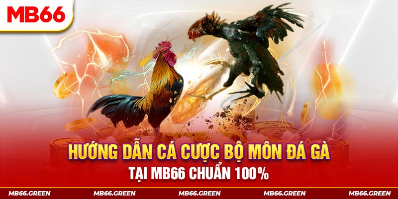 sumvip club xổ số bình định