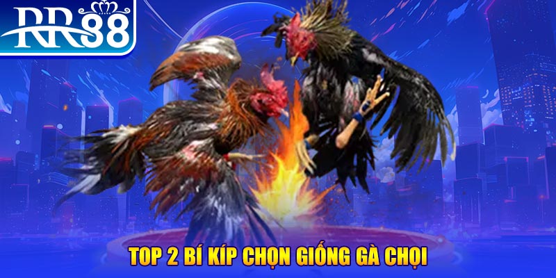 sumvip club đăng nhập roulette dễ thắng