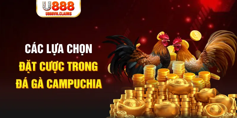 SW Xổ Số