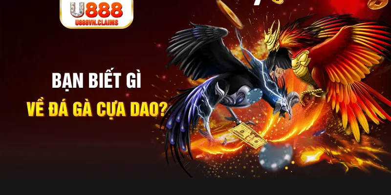 sumvip club xổ số kiến thiết