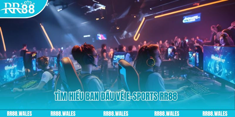sumvip club Đĩa màu ace