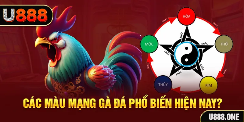 sumvip club đăng nhập mậu binh