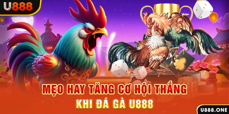 sumvip club trực tiếp gà chọi c1