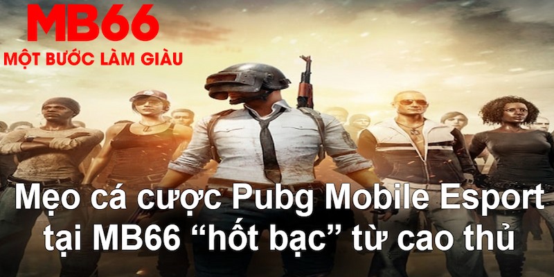 sumvip club gà chọi mộc hóa