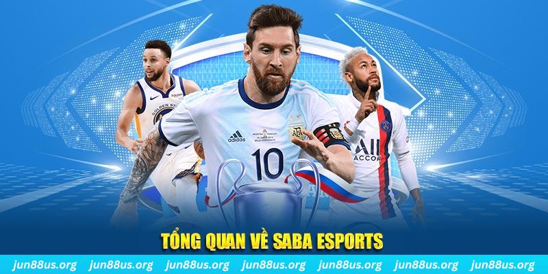 sumvip club gà chọi c1 tv trực tiếp hôm nay